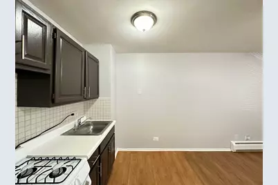 4543 N Dover Street #2F, Chicago, IL 60640 - Photo 8