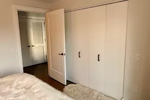 514 N Peshtigo Ct, Chicago, IL 60611 - Photo 10