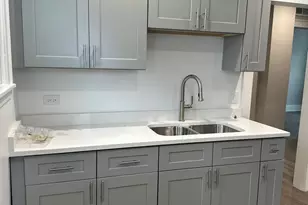 231-233 Williams St, Aurora, IL 60506 - Photo 14