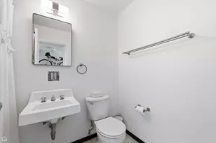 4850 S Lake Park Ave, Chicago, IL 60615 - Photo 10
