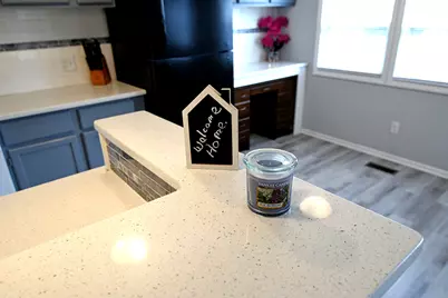 1134 Lakeview Road, Elgin, IL 60123 - Photo 8