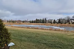 24412 W Alexis Ln, Plainfield, IL 60585 - Photo 38