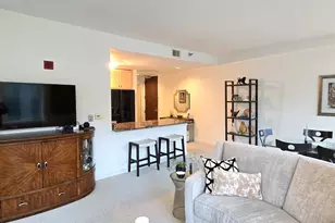 57 E Delaware Pl, Chicago, IL 60611 - Photo 4