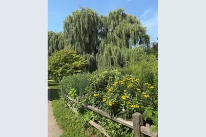 2150 W Foster Avenue #2, Chicago, IL 60625 - Photo 34