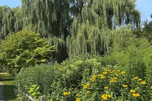 2150 W Foster Ave, Chicago, IL 60625 - Photo 34