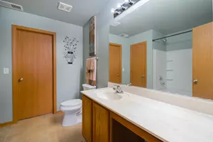 16320 Spring Creek Ln, Plainfield, IL 60586 - Photo 18