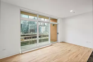 415 E North Water St, Chicago, IL 60611 - Photo 16