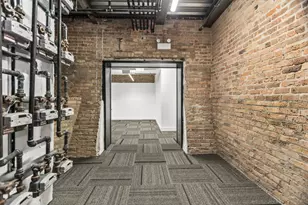 153 W Ohio St, Chicago, IL 60654 - Photo 8