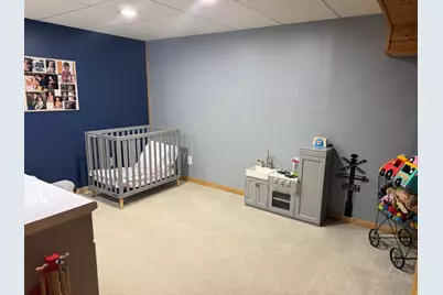 3047 E 11th Road, Utica, IL 61373 - Photo 38