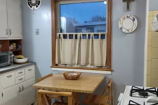 5142 Jarlath Ave, Skokie, IL 60077 - Photo 18