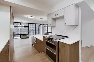 1430 N Astor St, Chicago, IL 60610 - Photo 10