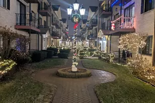 5155 N East River Rd, Chicago, IL 60656 - Photo 4