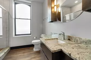 6 E Downer Pl, Aurora, IL 60505 - Photo 14