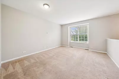 233 Jackson Street, Gilberts, IL 60136 - Photo 8