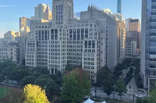 222 E Pearson St, Chicago, IL 60611 - Photo 2