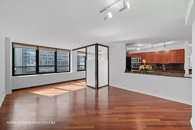 222 E Pearson Street #1406, Chicago, IL 60611 - Photo 4