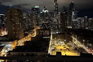 1600 S Indiana Ave, Chicago, IL 60616 - Photo 28