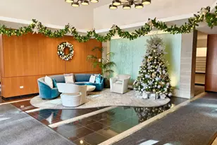 420 E Waterside Dr, Chicago, IL 60601 - Photo 28