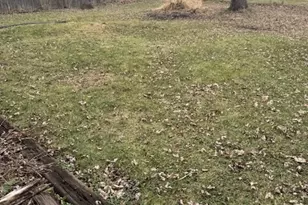 3607 Susan Ln, Steger, IL 60475 - Photo 2