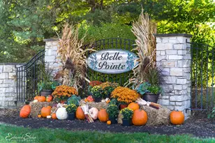 16009 Sara Ln, Union, IL 60180 - Photo 1