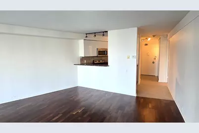 300 N State Street #4710, Chicago, IL 60654 - Photo 4