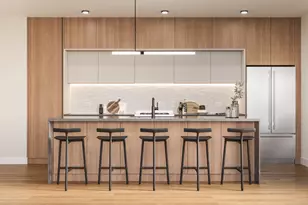 2234 W Grand Ave, Chicago, IL 60612 - Photo 2