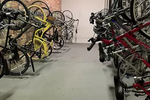 1631 S Michigan Ave, Chicago, IL 60616 - Photo 18