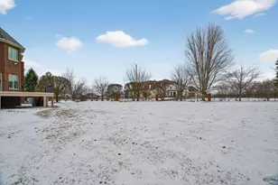 11024 Marilyn Terrace, Orland Park, IL 60467 - Photo 58