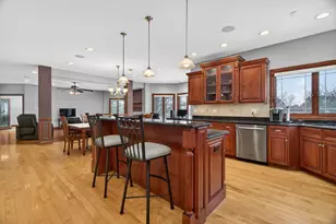 11024 Marilyn Terrace, Orland Park, IL 60467 - Photo 14