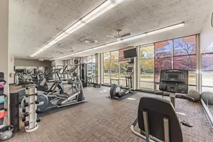 1455 N Sandburg Terrace, Chicago, IL 60610 - Photo 18