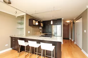 2 E Erie St, Chicago, IL 60611 - Photo 4