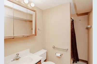 311 S Vine Avenue #E, Park Ridge, IL 60068 - Photo 18