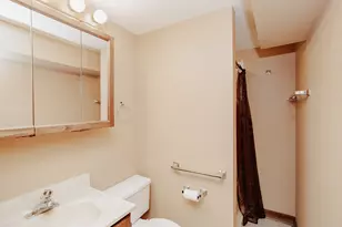 311 S Vine Ave, Park Ridge, IL 60068 - Photo 18