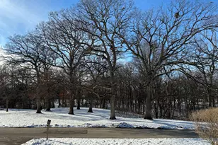 807 Elm Ave, Geneva, IL 60134 - Photo 20