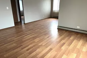 22405 Thomas Dr, Richton Park, IL 60471 - Photo 4