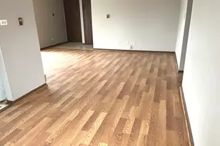 22405 Thomas Dr, Richton Park, IL 60471 - Photo 2