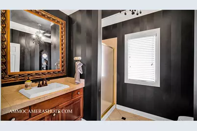 3N651 James Fenimore Cooper Lane, Saint Charles, IL 60175 - Photo 22