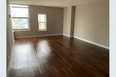 100 W Chestnut Street #3008, Chicago, IL 60610 - Photo 4