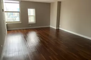 100 W Chestnut St, Chicago, IL 60610 - Photo 4