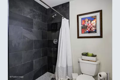 1736 N Hoyne Avenue, Chicago, IL 60647 - Photo 16