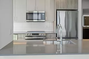 808 N Cleveland Ave, Chicago, IL 60610 - Photo 10