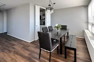 4800 S Chicago Beach Dr, Chicago, IL 60615 - Photo 8