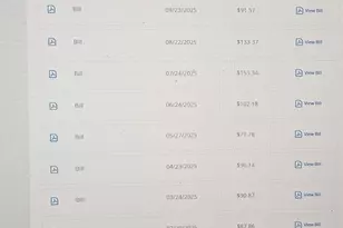 156 Park Pl, Grayslake, IL 60030 - Photo 44