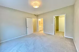 343 Abington Woods Dr, Aurora, IL 60502 - Photo 14