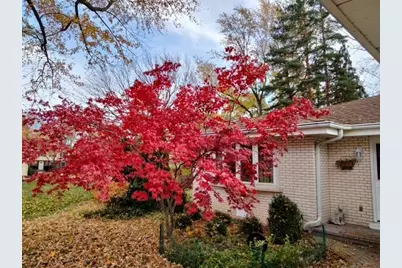 209 Herbert Street, Downers Grove, IL 60515 - Photo 32