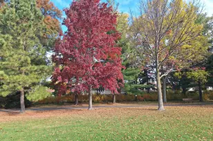 209 Herbert St, Downers Grove, IL 60515 - Photo 30