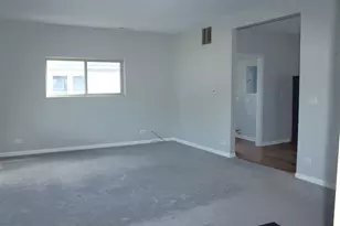 135 E Chestnut St, Coal City, IL 60416 - Photo 4