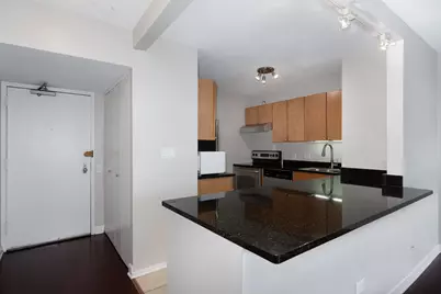 30 E Huron Street #4603, Chicago, IL 60611 - Photo 2