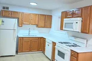 533 Redwood Rd, Bolingbrook, IL 60440 - Photo 4