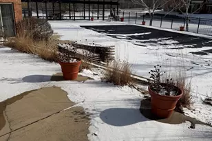 1312 McDowell Rd, Naperville, IL 60563 - Photo 22